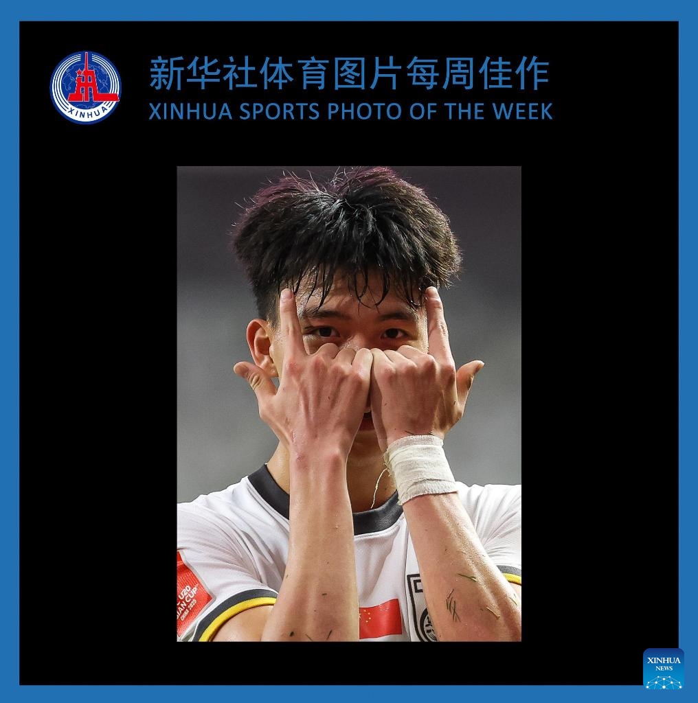 稳固著称